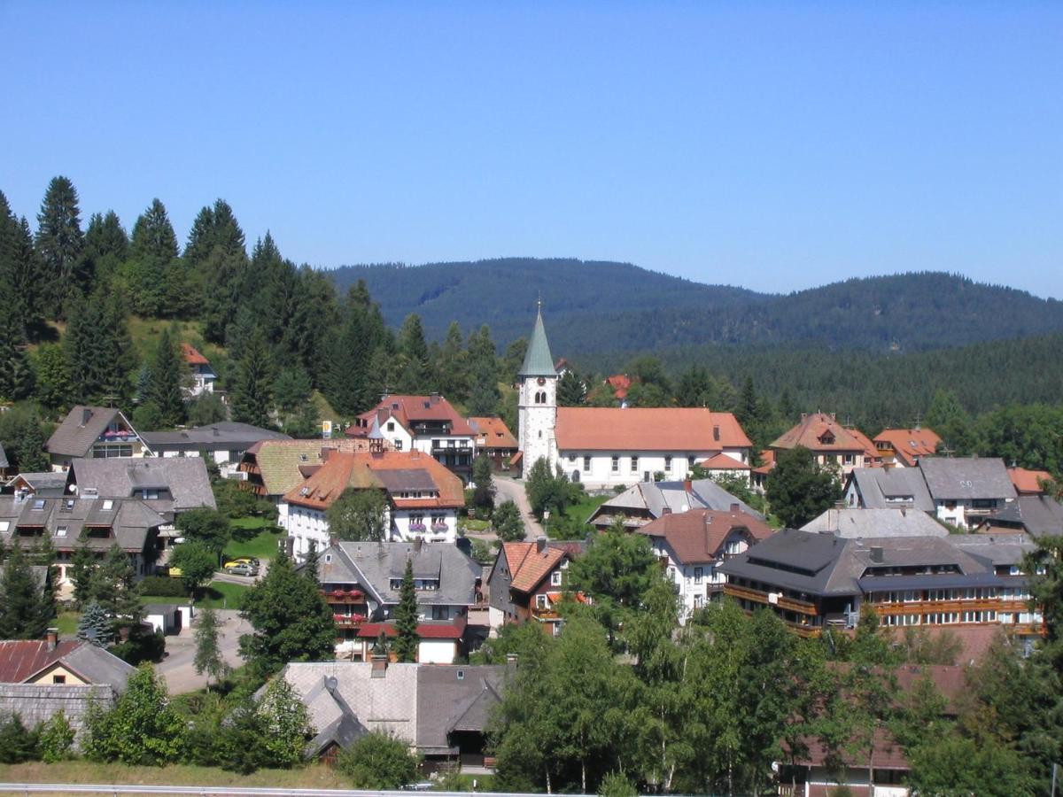 Mellex Fewo Feldberg  Exterior photo